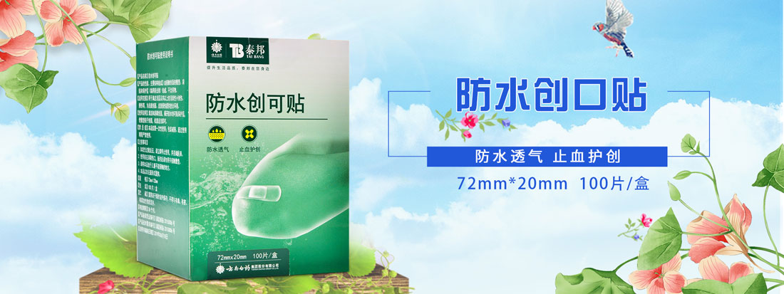 送药app