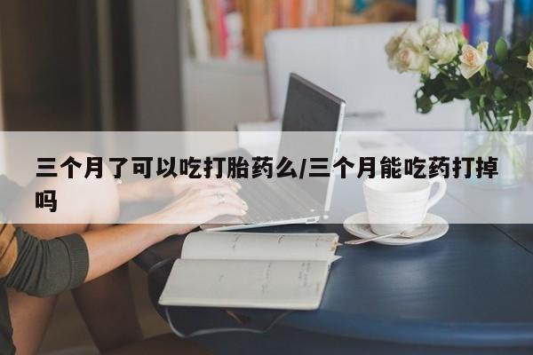 三个月了可以吃打胎药么/三个月能吃药打掉吗